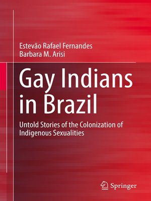 cover image of Gay Indians in Brazil